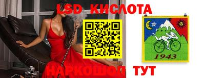 сатива Моздок