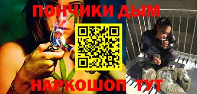 сатива Моздок