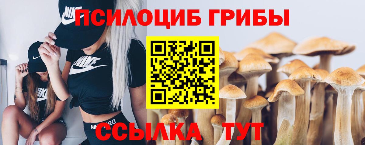 Шелехов  Псилоцибиновые грибы Psilocybe  Псилоцибиновые грибы Magic Shrooms  Вход с VPN 